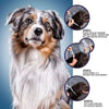 PAWTECT - Anti-Zecke Und Floh Halsband