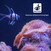 FISHVISION – Unterwasser-Angelkamera 1080P HD für Eisfischen & Bootsangeln 2