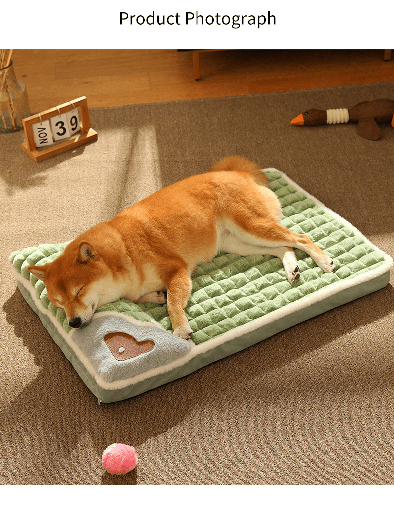 Luxusplüsch – Flauschiges Premium-Hundebett Für Kleine & Mittelgroße Hunde