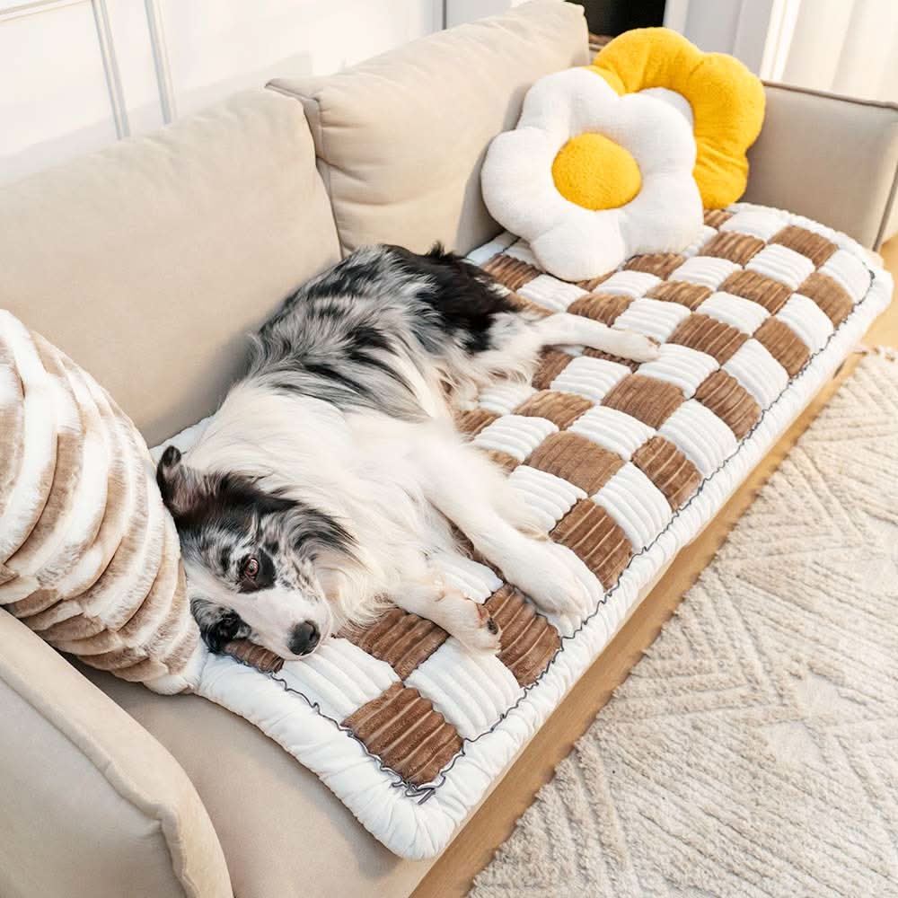 COZYCOVER – Kuschelige Haustierdecke aus Chenille mit Möbelschutz-Funktion
