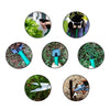 Gartenmeister – Vollständiges Gartenwerkzeug Set Für Müheloses Gärtnern