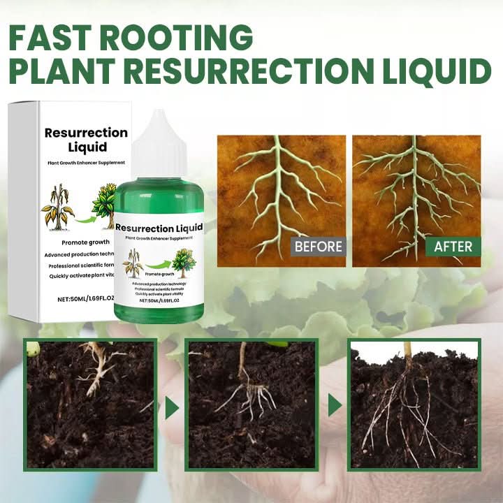 ROOTNOVA – Pflanzentonikum Für Gesundes Wachstum Und Starke Wurzeln