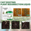ROOTNOVA – Pflanzentonikum Für Gesundes Wachstum Und Starke Wurzeln