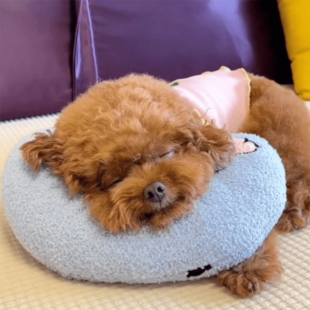 PETEASE Luxus – Orthopädisches Hundekissen Gegen Stress Und Gelenkschmerzen