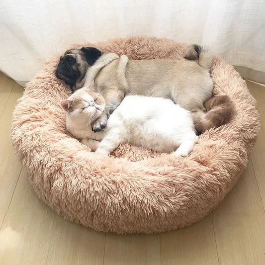 Haustier Rundkissen Sofa – Kuscheliger Rückzugsort Für Haustiere & Schutz Für Ihre Möbel