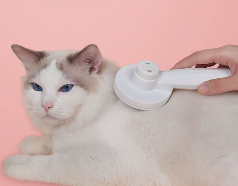Selbstreinigende Bürste – Selbstreinigende Katzenbürste Für Weniger Haarausfall & Sauberes Fell