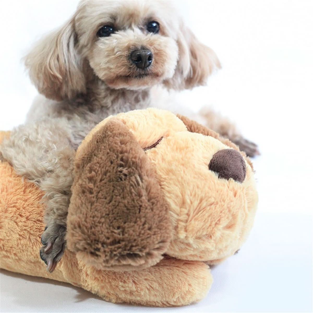 Kuschelpup – Kuscheltier Mit Herzschlag Für Beruhigte Welpennächte