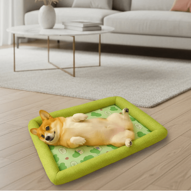 ICEBUDDY – Kühlendes Hundebett für kleine und mittelgroße Hunde 1