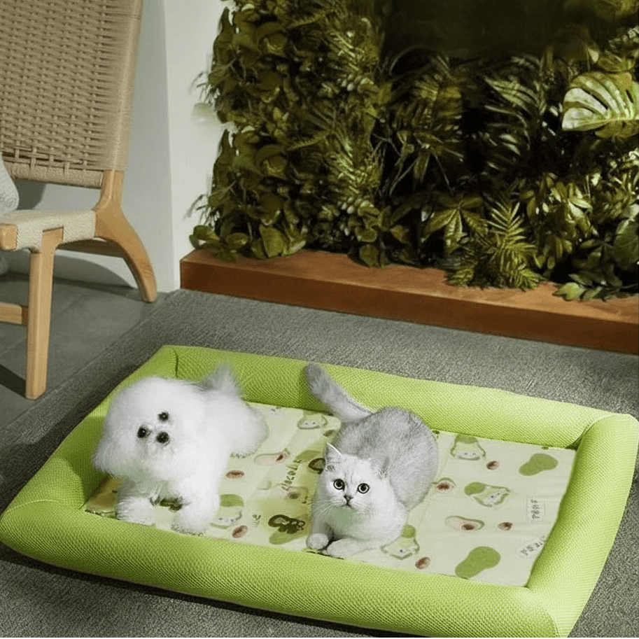 ICEBUDDY – Kühlendes Hundebett für kleine und mittelgroße Hunde 3