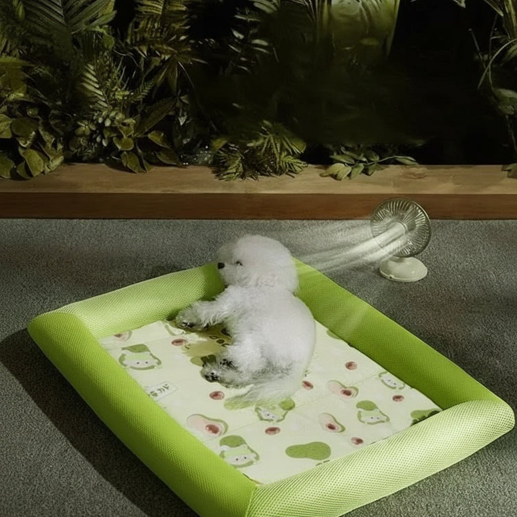 ICEBUDDY – Kühlendes Hundebett für kleine und mittelgroße Hunde 4