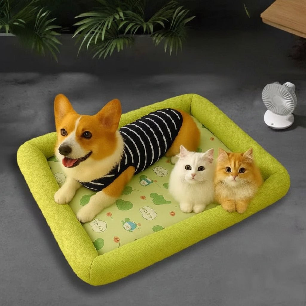 ICEBUDDY – Kühlendes Hundebett für kleine und mittelgroße Hunde 5