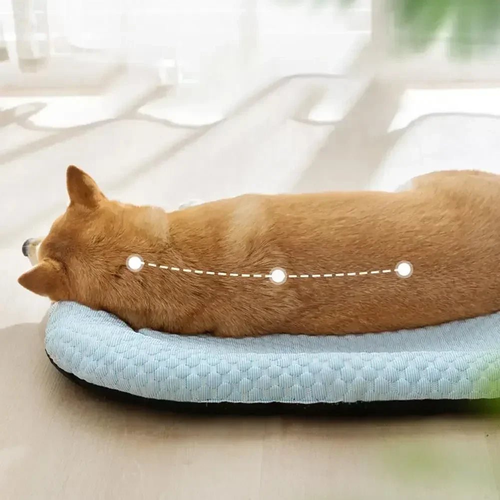ICEPAD OVAL – Kühlendes Hundebett für kleine und große Hunde 2
