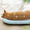 ICEPAD OVAL – Kühlendes Hundebett für kleine und große Hunde 2