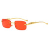 LEOVUE – Randlose Leopardenkopf-Sonnenbrille mit UV400-Schutz