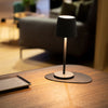 Magnet Light L GREY incl. Placemat
