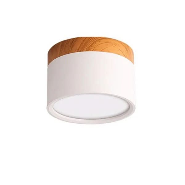 LumiNord – Moderne Dimmbare LED Deckenleuchte im Nordisch Design