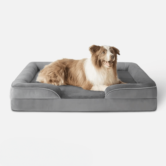 Ortholuxe Hundebett