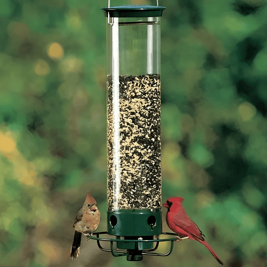 Nährschutz – Eichhörnchen-Schutz Vogelhaus mit Gewichtsgesteuertem Futterspender