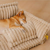 Schlaf Traum Orthopädisches Hund Bett – Gelenkschonendes Hundekissen Mit Kopfstütze & Flauschbezug