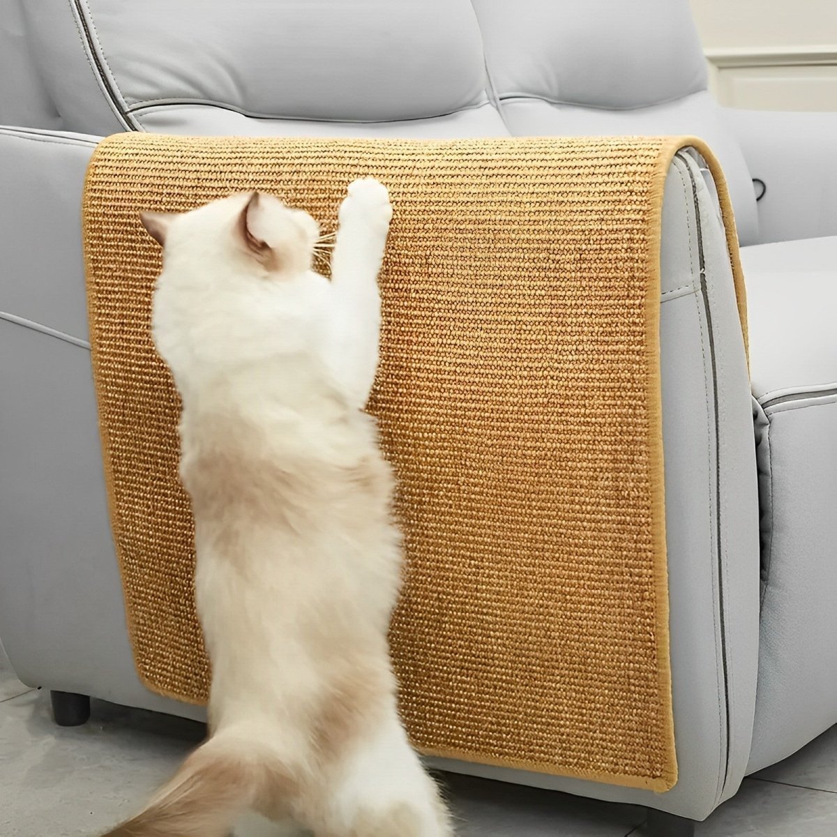 PAWPERCH – Robuster Katzenkratzbaum für glückliche und aktive Katzen 0