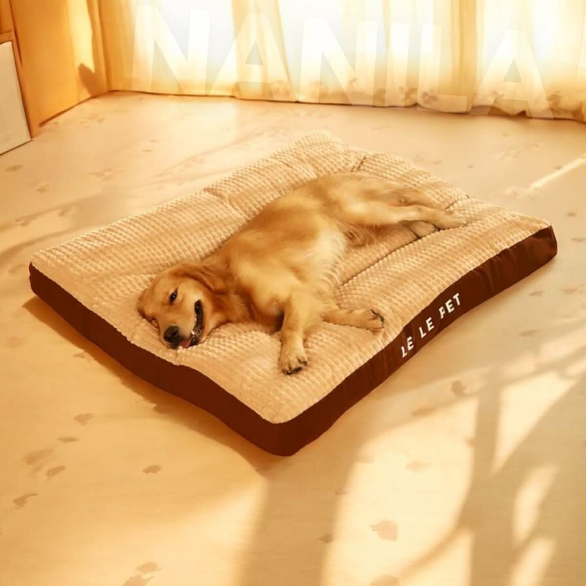Pfotenruhe – Orthopädisches Hundebett Mit Optimaler Unterstützung Und Komfort