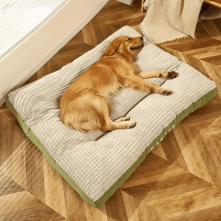 Pfotenruhe – Orthopädisches Hundebett Mit Optimaler Unterstützung Und Komfort