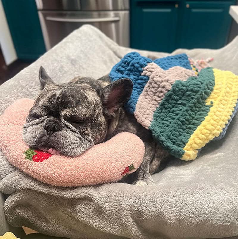 PETEASE Luxus – Orthopädisches Hundekissen Gegen Stress Und Gelenkschmerzen