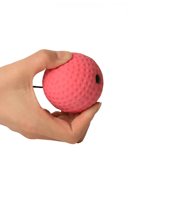 PunchPro – Reflexball Für Boxtraining Und Reaktionsverbesserung Mit 2 Trainingsbällen