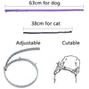 Blitzschild Halsband – Pflanzliches Floh- & Zeckenschutz-Halsband Für Hunde & Katzen