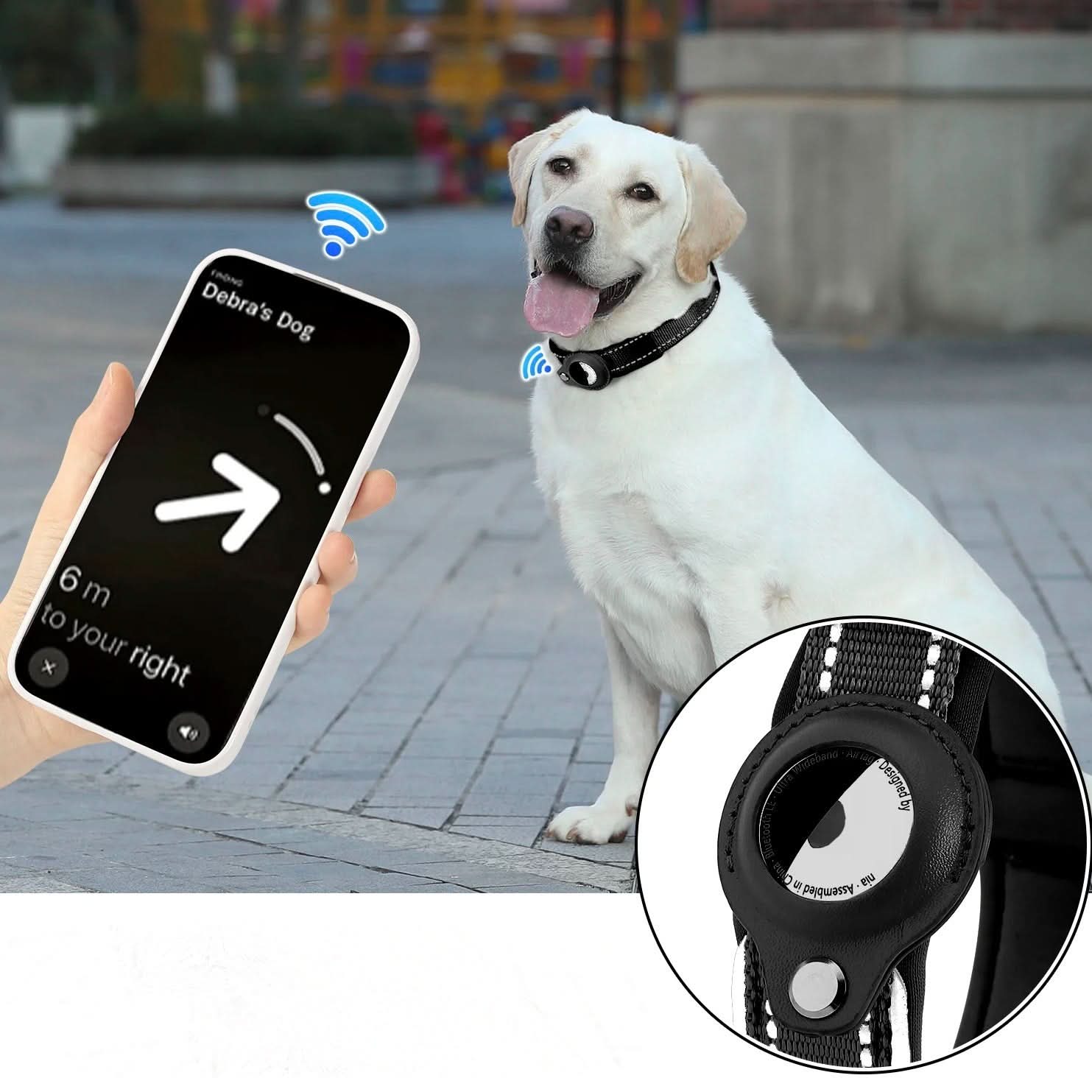LEAZO - Ortungsetikett Hundehalsband