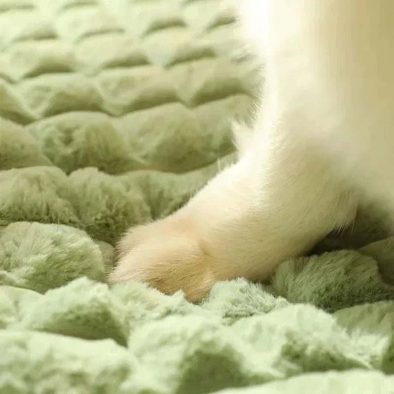 REETREST – Waschbares Orthopädisches Hundebett