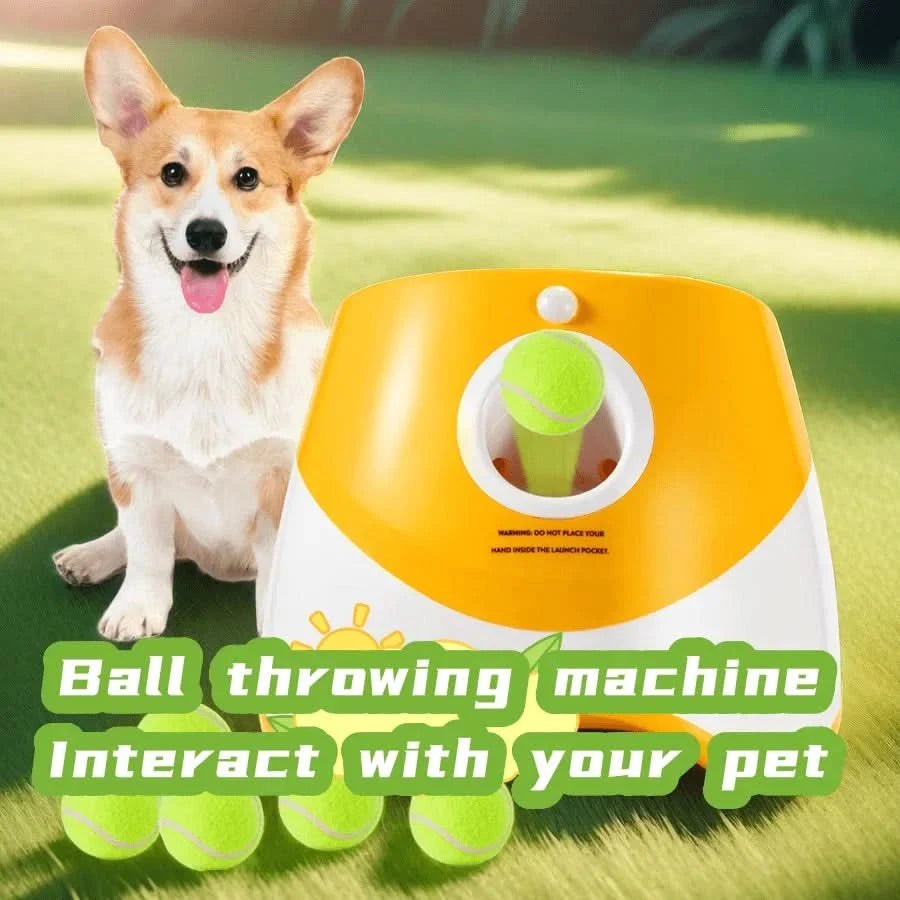Hundesprint – Interaktiver Ballwerfer mit Wurfanpassung