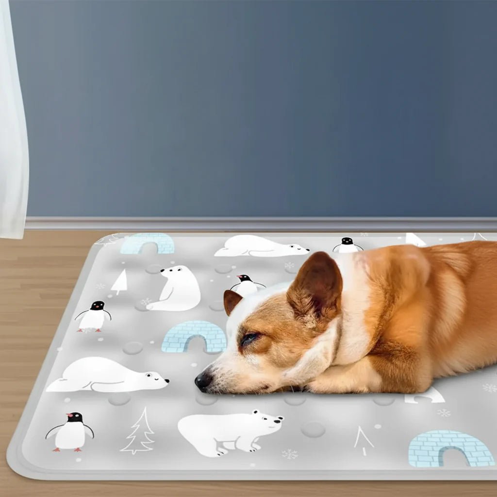 PETCHILL – Gel Kühlmatte Für Hunde & Katzen