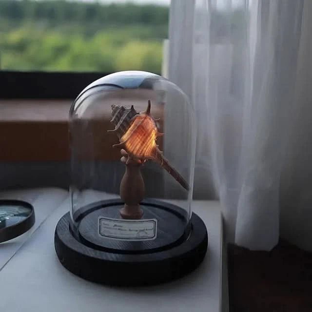 IVA Lampe Rückblick Stil Seeigel Inspiration Zeitloses Dekor Leuchte