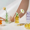 Brio - Kristallklare Vase