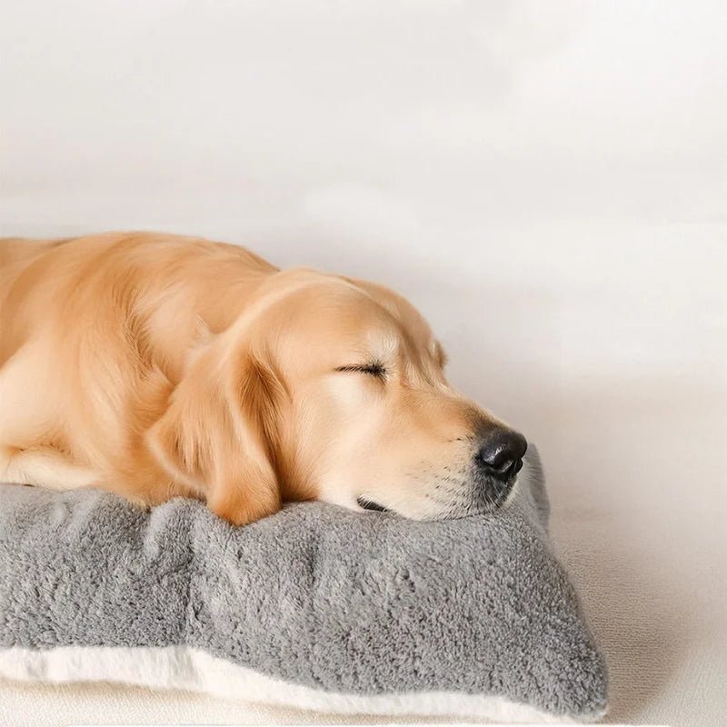 PLUSHFAW – Dicke Plüsch Hundematte Für Alle Hundegrößen