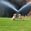 AQUAS - Gartensprinkler
