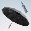 WetterWächter – Wind- und Wasserdichter Taschenschirm