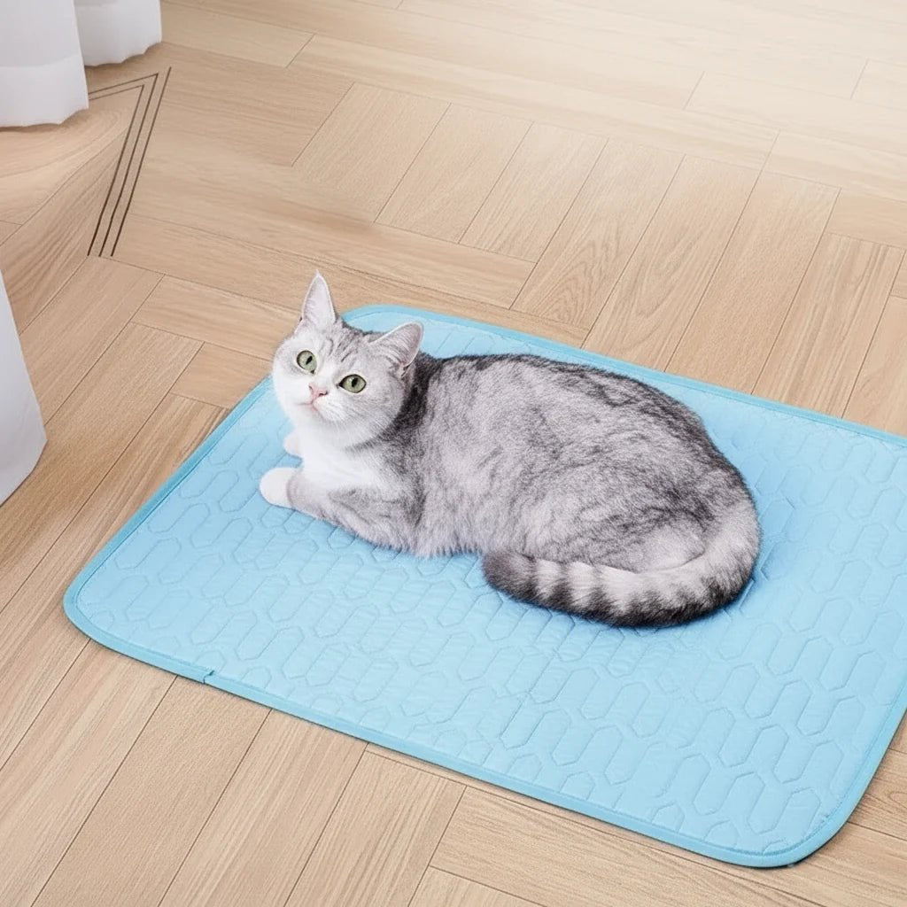 FURFROST – Kühlende Sommermatte für Kleine & Große Tiere