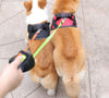 PROPET DUO – Rollleine Für Zwei Hunde Mit LED-Licht Für Sichere Spaziergänge