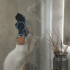 Cleanovate® PRO Trockentuch