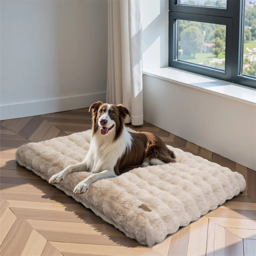 PETSERE – Beruhigendes Bett Für Hunde & Katzen