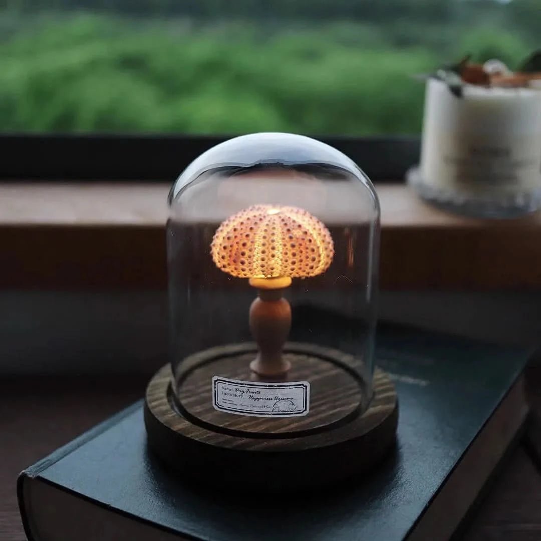 IVA Lampe Rückblick Stil Seeigel Inspiration Zeitloses Dekor Leuchte