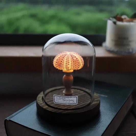 IVA Lampe Rückblick Stil Seeigel Inspiration Zeitloses Dekor Leuchte