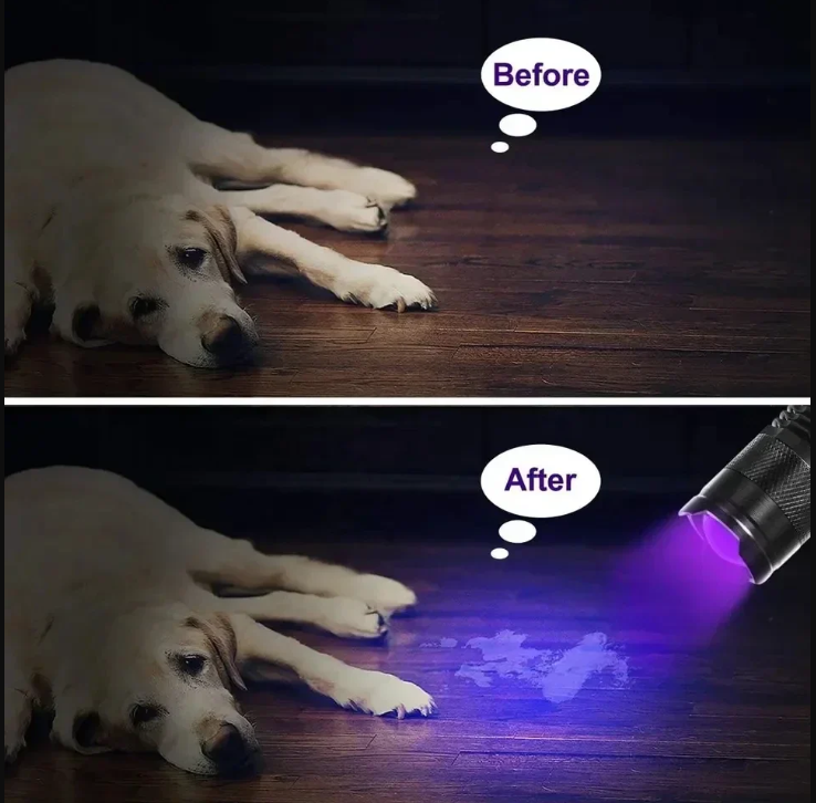 UV-LED-Taschenlampe – Ultraviolette Leuchte zur Fleckenerkennung und Haustierurin-Detektion
