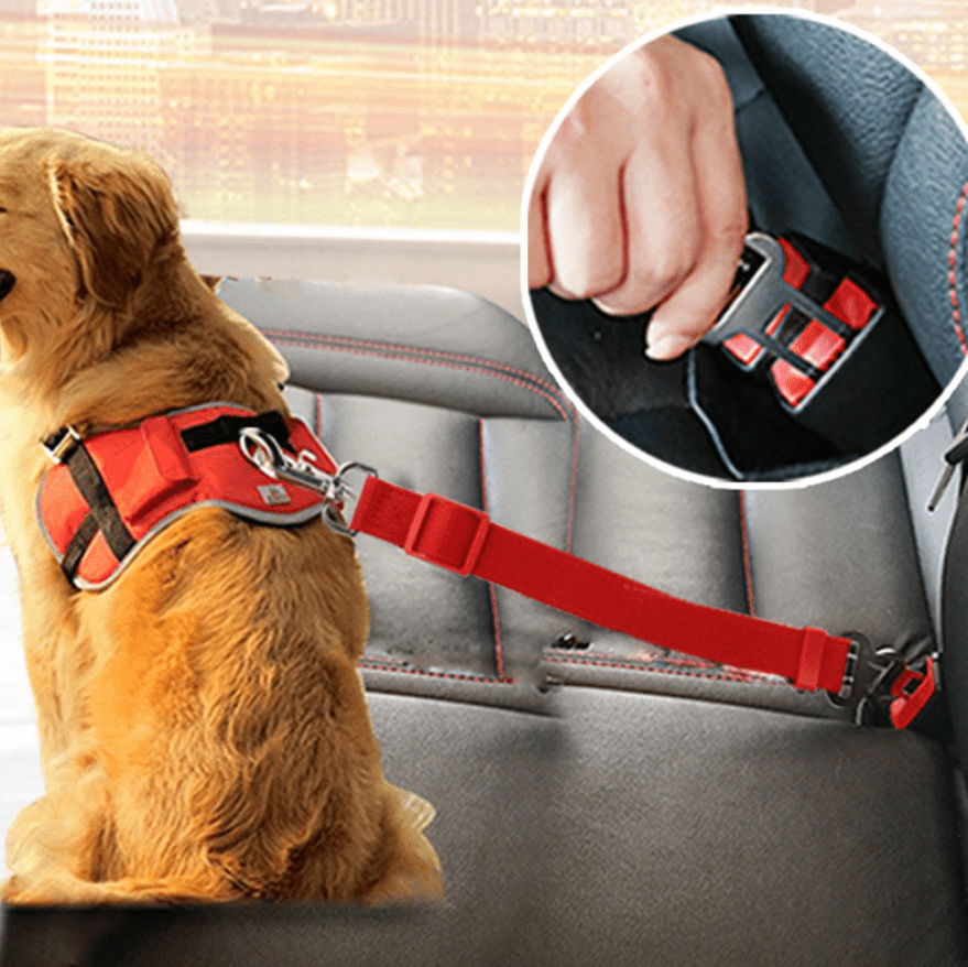 SAFEPAW – Verstellbarer Sicherheitsgurt Für Hunde Im Auto