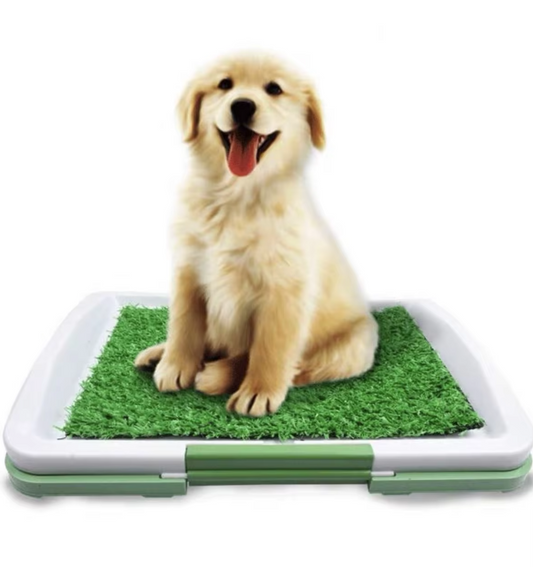 Hundetoilette mit Kunstrasen – Rutschfeste Matte für Drinnen und Draußen