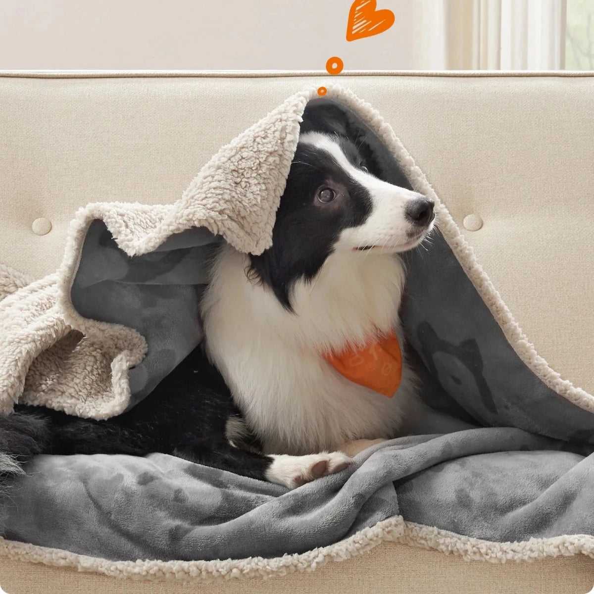 Haustierdecke – Weiche Decke Für Hunde Und Katzen