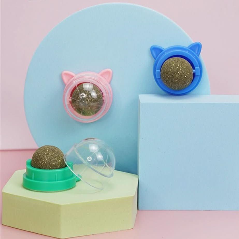 Purrfekt Katzenminze Spielzeug – Katzenspielzeug mit Minze & Rotierendem Ball für Gesunde Zähne