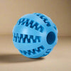 KauSpaß Intelligenzball – Für Gesunde Zähne & Kluge Köpfe
